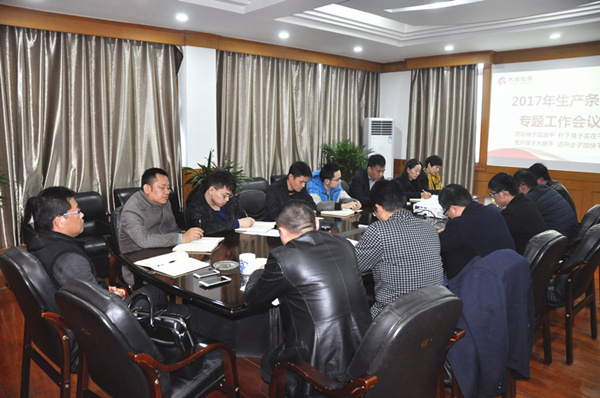 集團(tuán)公司組織召開各條線2017年度工作專題會(huì)議