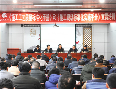 推進(jìn)標(biāo)準(zhǔn)化落地實(shí)施   提升項(xiàng)目管理水平