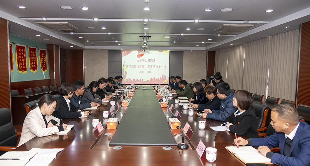 天啟黨總支攜手武進建協(xié)功能型黨支部開展黨建共建活動