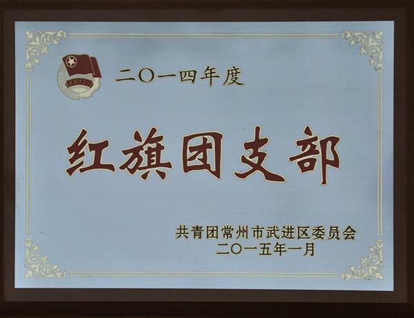 2015年紅旗團支部