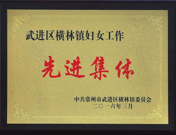 2016年武進區(qū)橫林鎮(zhèn)婦女工作先進集體