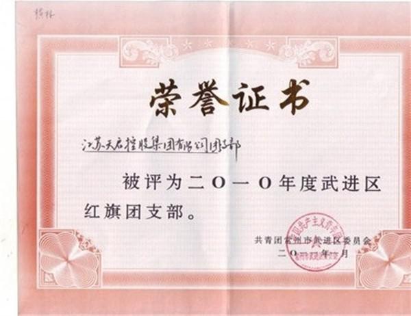 2010年紅旗團支部