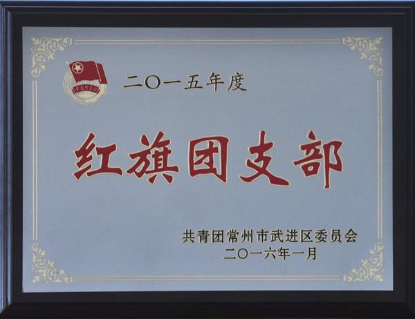 2015年紅旗團(tuán)支部
