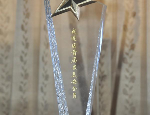 柳葉青2017年最美安全員