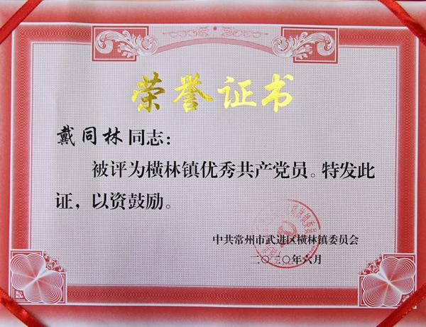 戴同林 橫林鎮(zhèn)優(yōu)秀共產(chǎn)黨員