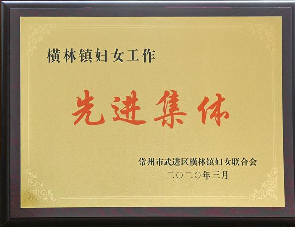 橫林鎮(zhèn)婦女工作先進(jìn)集體獎(jiǎng)牌