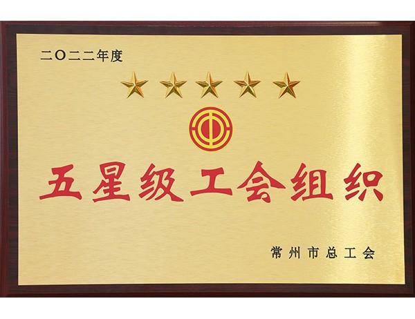 市總工會-五星級工會組織